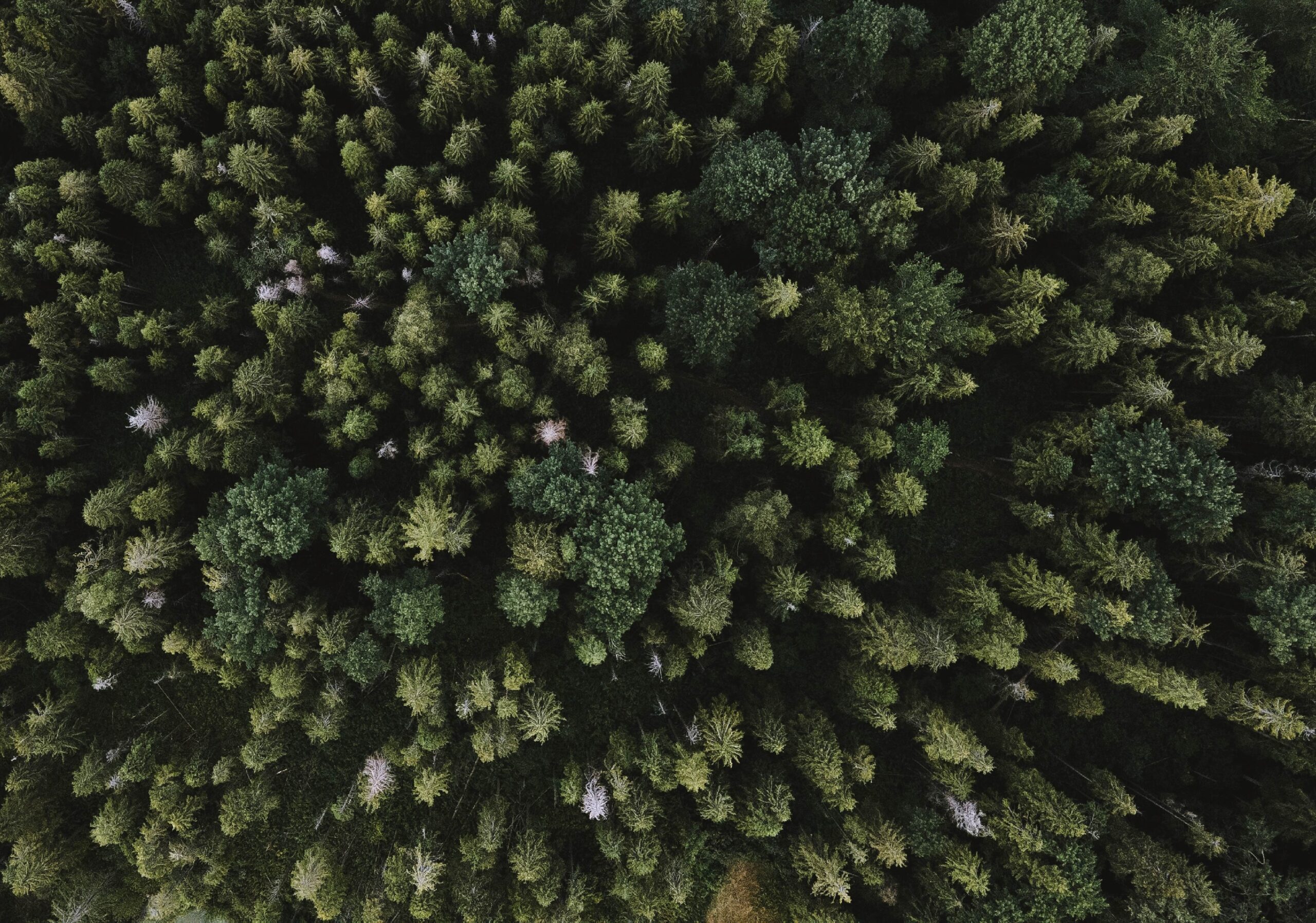 Circular Uniform Design: Redefining Sustainability | Murray Uniforms